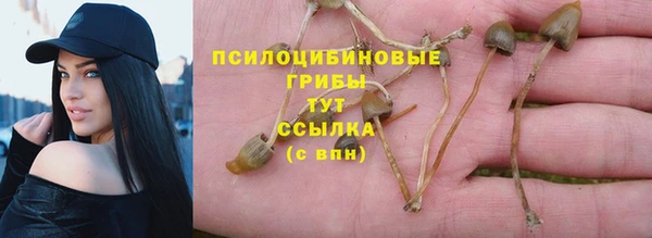 Альфа ПВП Красноперекопск