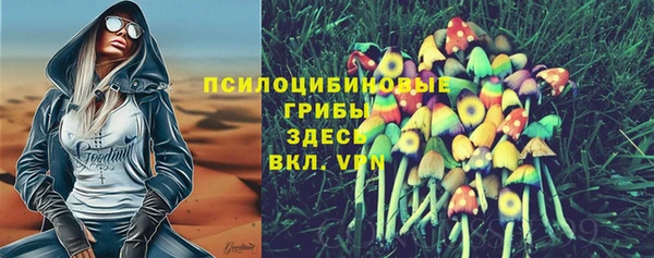 метадон Краснослободск