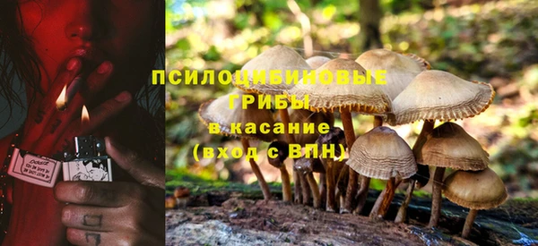 метадон Краснослободск