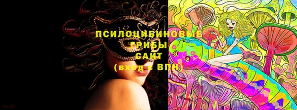 каннабис Коряжма