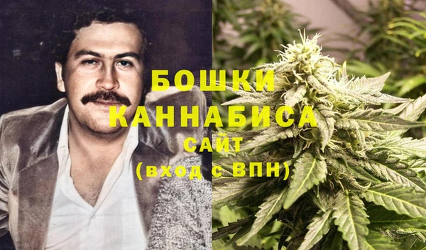 индика Козловка