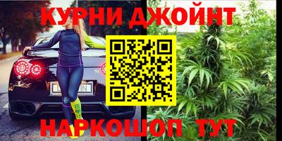 сатива Жуковский