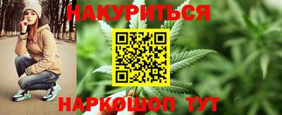 сатива Жуковский