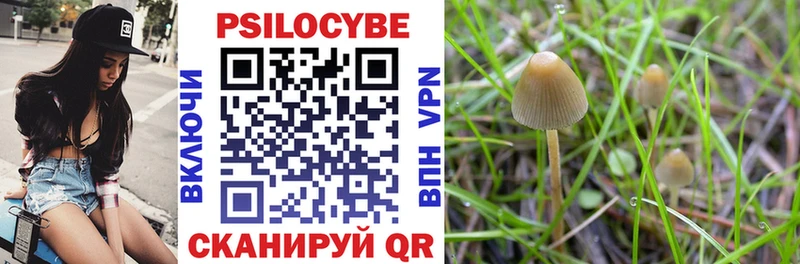 Галлюциногенные грибы Psilocybe  где купить наркоту  kraken tor  Майский 